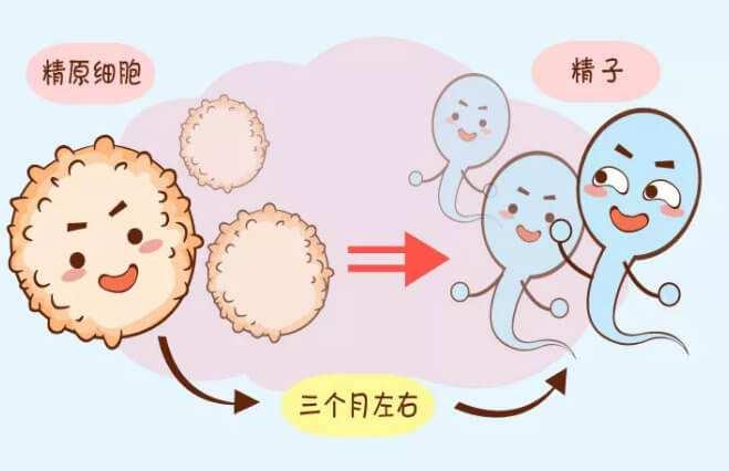 7步帮你了解做三代试管的全部流程，一个周期花费绝不超过7万