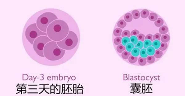 是否养囊得结合患者实际情况，并非医生养囊的私心