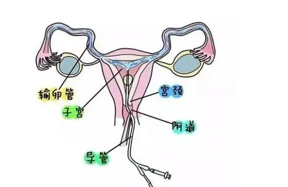 试管百科：卵巢早衰女性做试管婴儿要做第几代