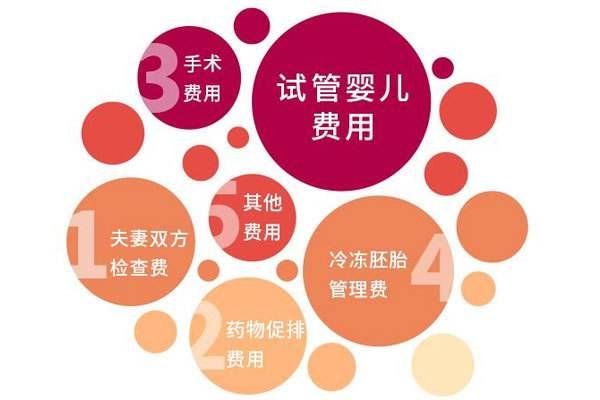 2022北京试管婴儿医院费用清单，费用精确到小数点