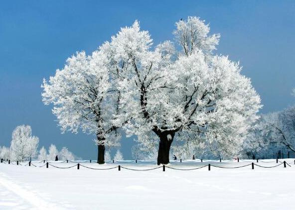 做梦梦见雪原来还有这些含义，帮你解析各种寓意