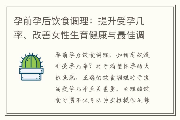 孕前孕后饮食调理：提升受孕几率、改善女性生育健康与最佳调整时机