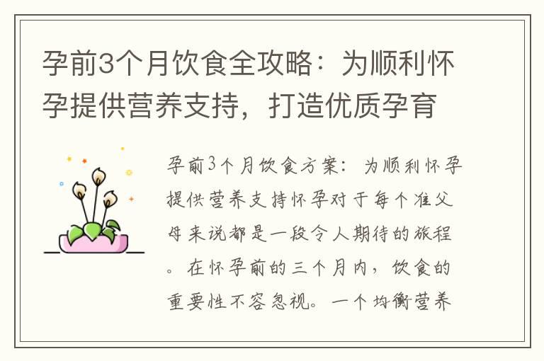 孕前3个月饮食全攻略：为顺利怀孕提供营养支持，打造优质孕育环境，提高受孕几率，促进健康怀孕