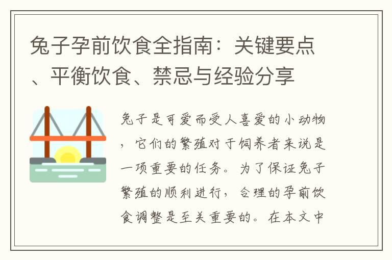 兔子孕前饮食全指南：关键要点、平衡饮食、禁忌与经验分享