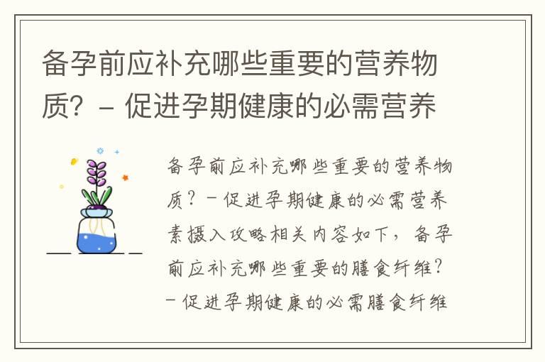 备孕前应补充哪些重要的营养物质？- 促进孕期健康的必需营养素摄入攻略