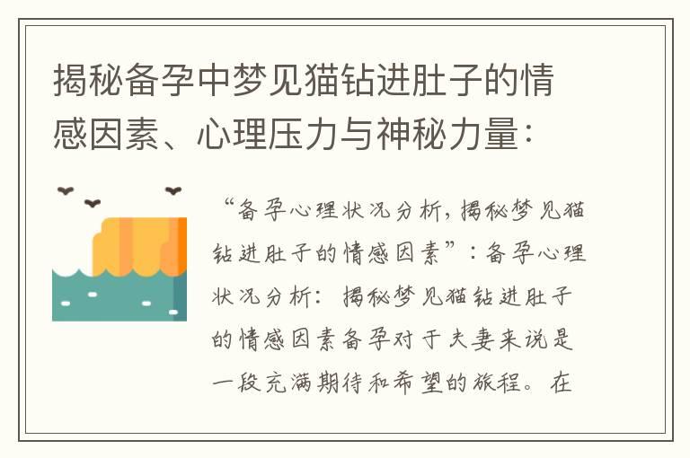 揭秘备孕中梦见猫钻进肚子的情感因素、心理压力与神秘力量：备孕心理状况分析、孕前准备秘籍、灵性解读与象征意义解析