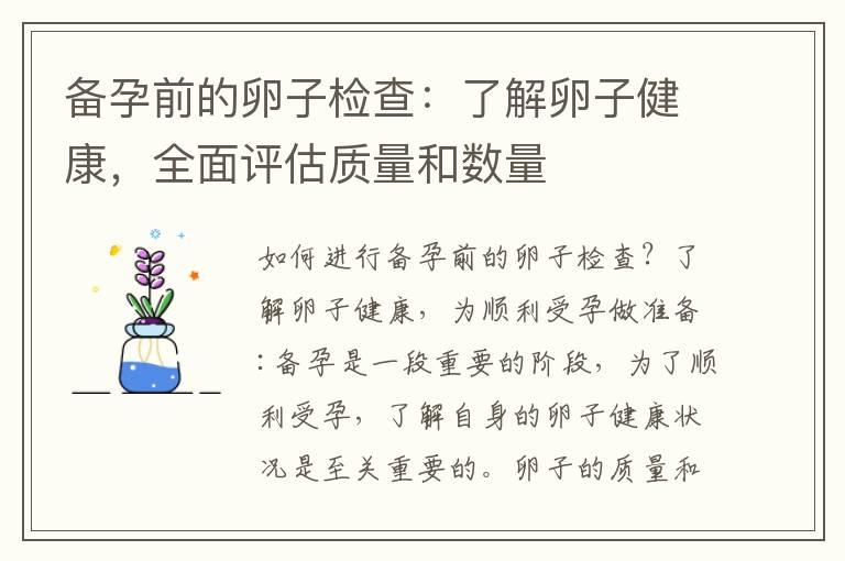 备孕前的卵子检查：了解卵子健康，全面评估质量和数量