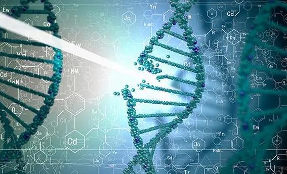 不明原因不孕可选择试管怀孕，可能经过多次失败才能成功