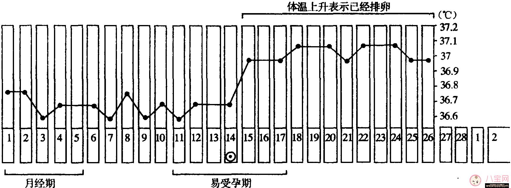 备孕首先应该了解什么？宫颈黏液和排卵期是什么？