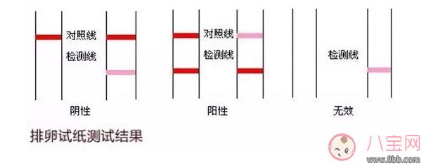 排卵试纸弱阳能怀上吗 排卵试纸怎么看