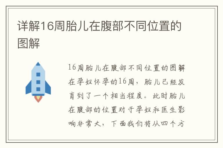 详解16周胎儿在腹部不同位置的图解