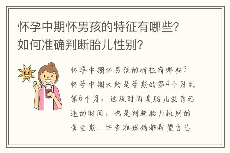 怀孕中期怀男孩的特征有哪些？如何准确判断胎儿性别？