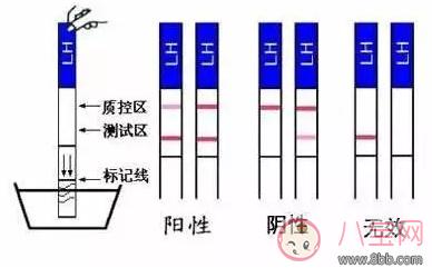 4天内造人成功    成功率最高的怀孕方法