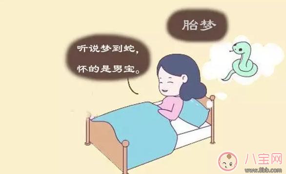 做梦梦到什么蛇是男孩吗     做梦梦到什么生男孩