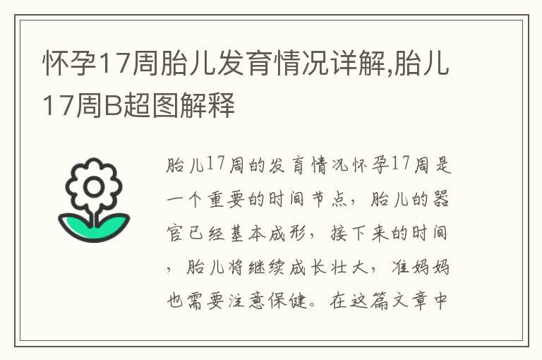 怀孕17周胎儿发育情况详解,胎儿17周B超图解释