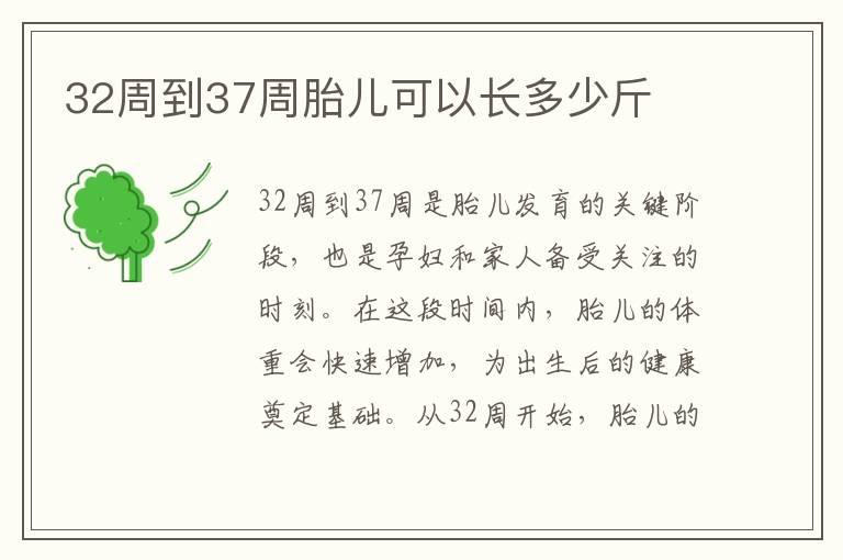 32周到37周胎儿可以长多少斤