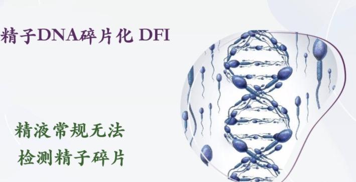 dfi高是什么原因引起的?精子dfi容易降下来吗?