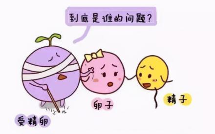 试管婴儿生化率高怎么办？专家解析生化的原因和应对方法