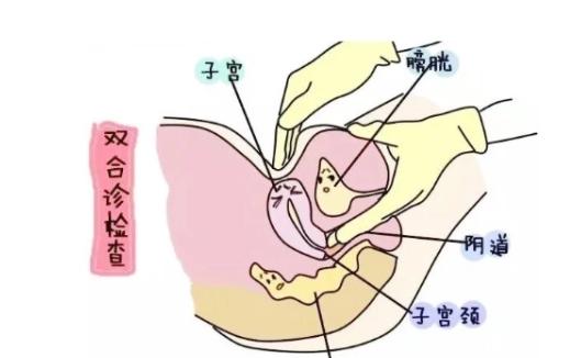 子宫前位怎么受孕比较好？掌握这些方法，提高受孕成功率