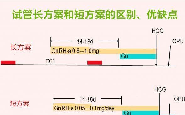 试管长方案和短方案的区别是什么？长短方案的优缺点对比