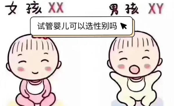 试管双胞胎费用大揭秘，了解一下费用构成