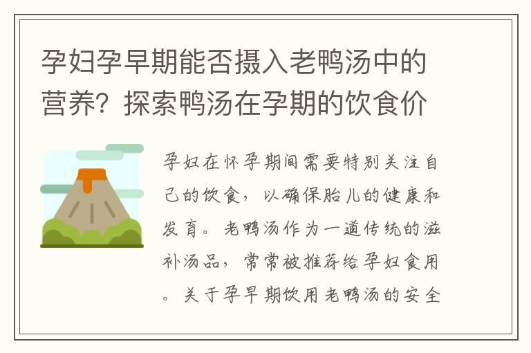 孕妇孕早期能否摄入老鸭汤中的营养？探索鸭汤在孕期的饮食价值及注意事项与推荐，助您享受健康孕期