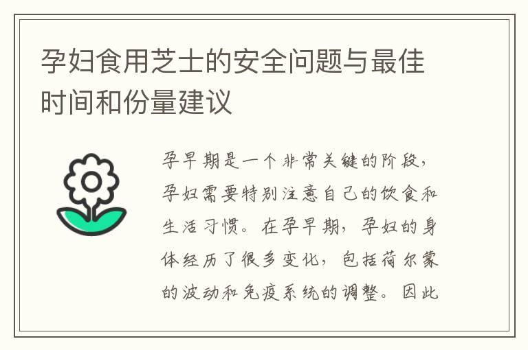 孕妇食用芝士的安全问题与最佳时间和份量建议