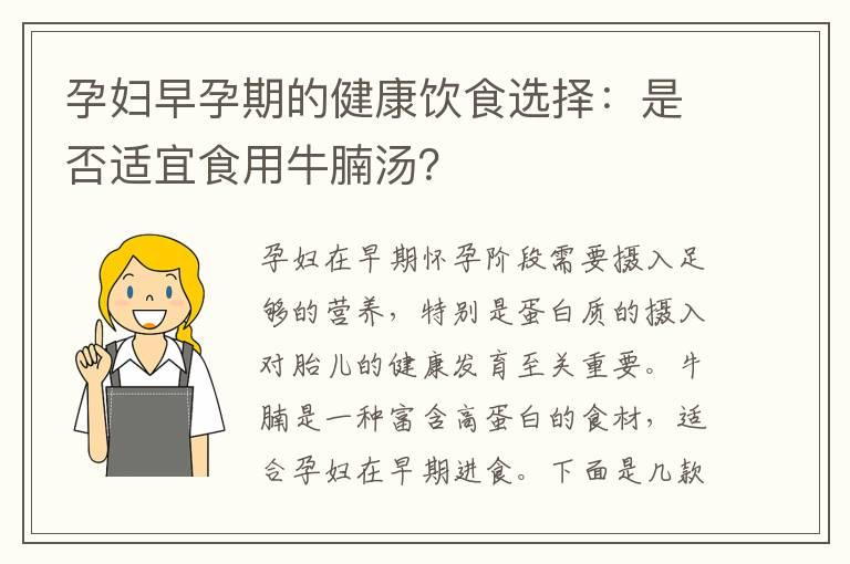 孕妇早孕期的健康饮食选择：是否适宜食用牛腩汤？