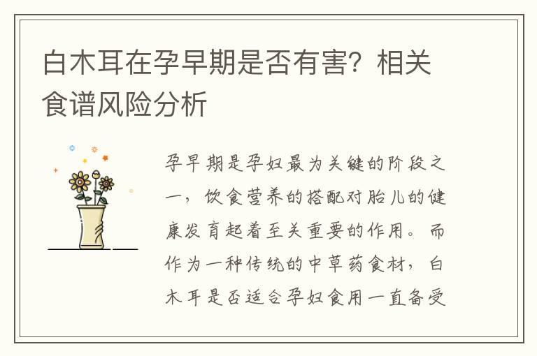 白木耳在孕早期是否有害？相关食谱风险分析