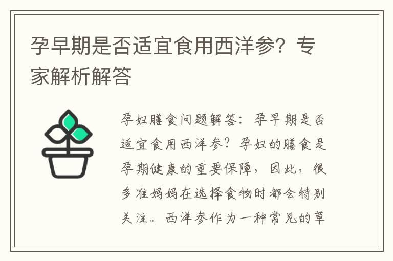 孕早期是否适宜食用西洋参？专家解析解答