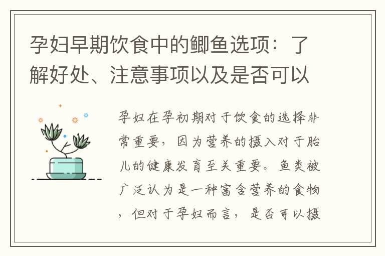 孕妇早期饮食中的鲫鱼选项：了解好处、注意事项以及是否可以在孕初期享用的滋补营养？