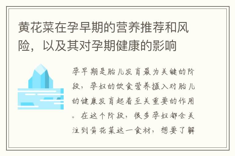 黄花菜在孕早期的营养推荐和风险，以及其对孕期健康的影响