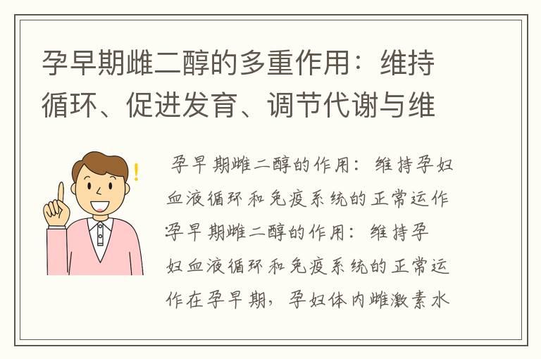 孕早期雌二醇的多重作用：维持循环、促进发育、调节代谢与维护健康