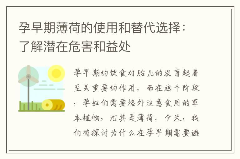 孕早期薄荷的使用和替代选择：了解潜在危害和益处