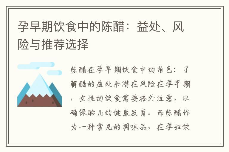 孕早期饮食中的陈醋：益处、风险与推荐选择