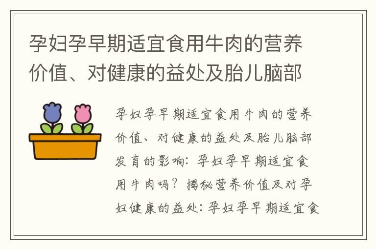 孕妇孕早期适宜食用牛肉的营养价值、对健康的益处及胎儿脑部发育的影响_孕妇孕早期食用皮蛋的危害、安全性及应对措施