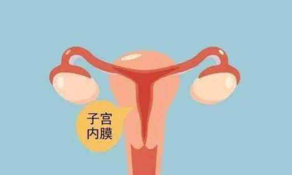 内膜薄会影响试管婴儿移植吗？着床时间会更晚吗？