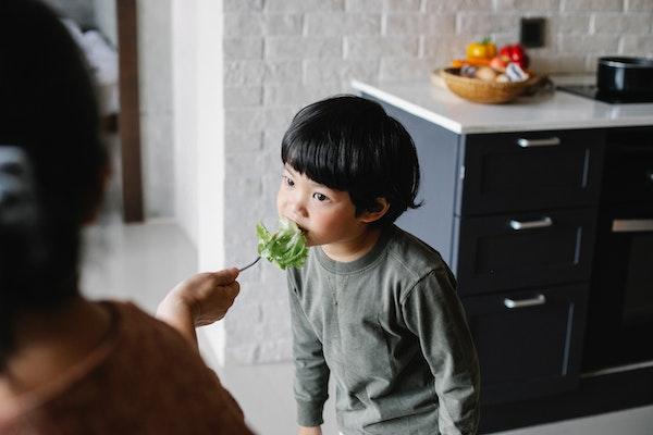 怀孕中期饮食搭配.jpg