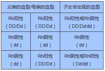 稀有血型的遗传.jpg