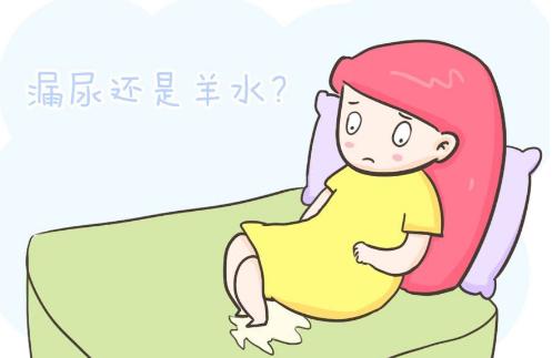 孕妇怎样判断漏羊水.png