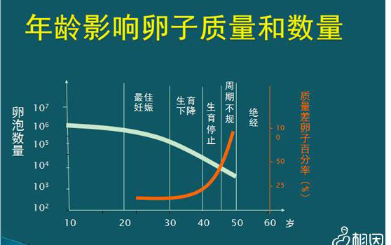 年龄是影响试管婴儿成功的重要因素