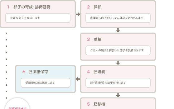 日本英医院试管婴儿7步流程