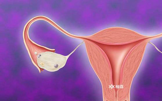 子宫环境影响供卵试管成功率