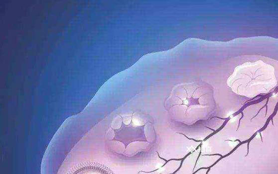 促排第18天没优质卵泡不正常