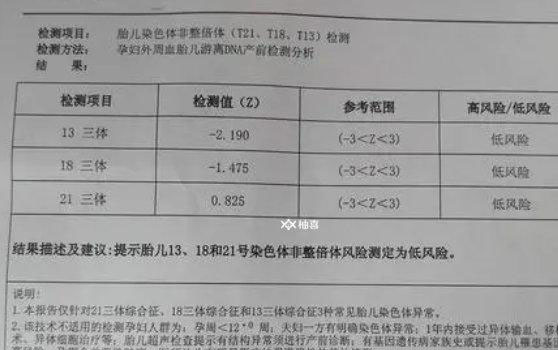 无创报告