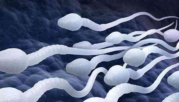 
              2024年单身女性可以使用精子库的精子生育吗？
            
