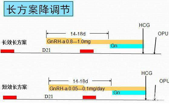 长方案促排时间