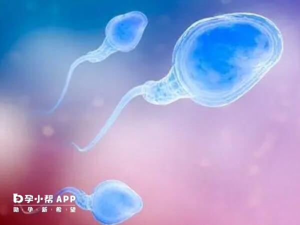 科学禁欲也能够提升男性精子质量